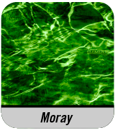 Mossy Oak Pattern